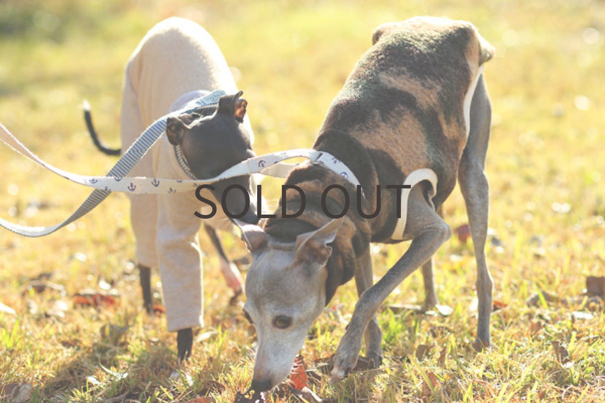 画像4: イタリー迷彩圧縮ニット (4)