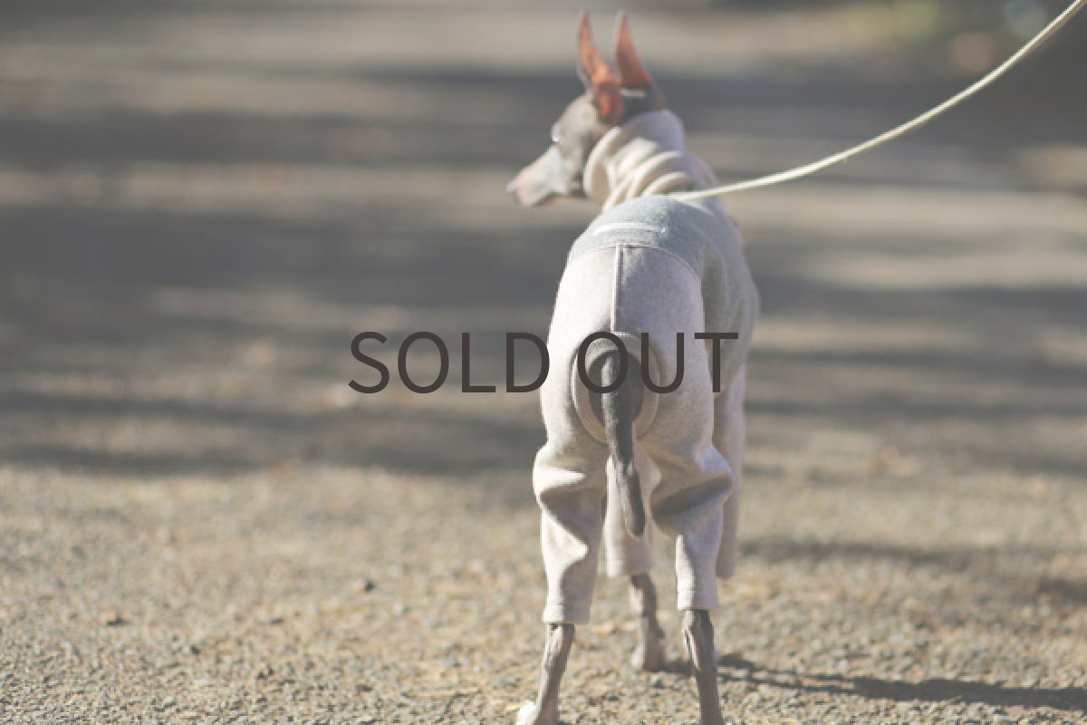 イタグレ服 ウール混ダブルフェイス(シルバー) 後方