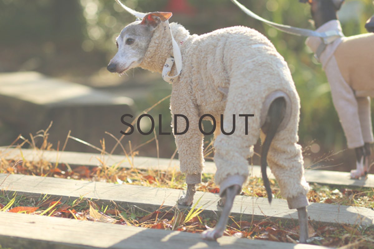 イタグレ服 フワボア（ミルクティー） 後方斜め