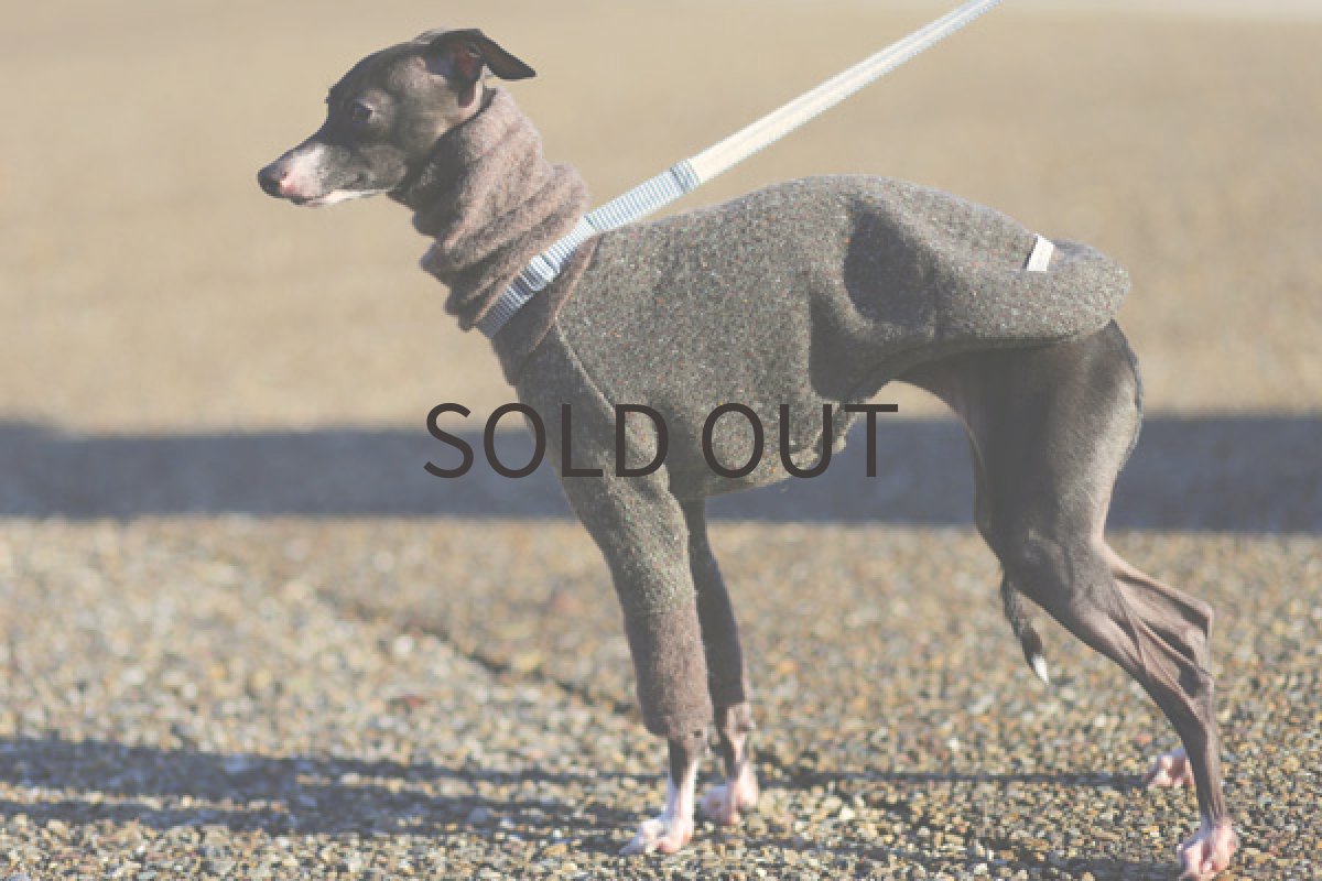 イタグレ服 シャギーネック 全身横