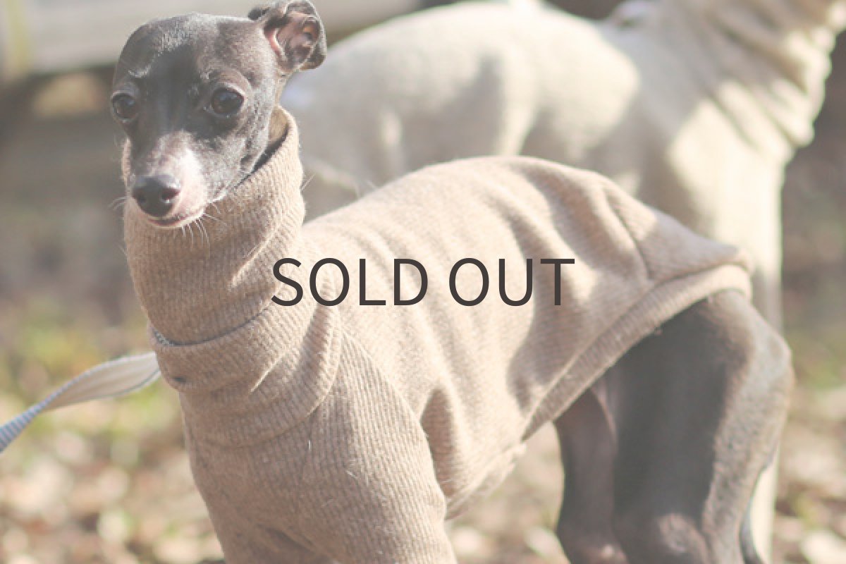 イタグレ服 アンゴラ混あぜニット(亜麻) 前アップ