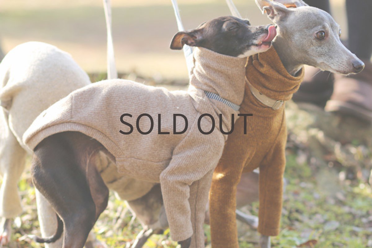 イタグレ服アンゴラ混あぜニット(亜麻) 横アップ