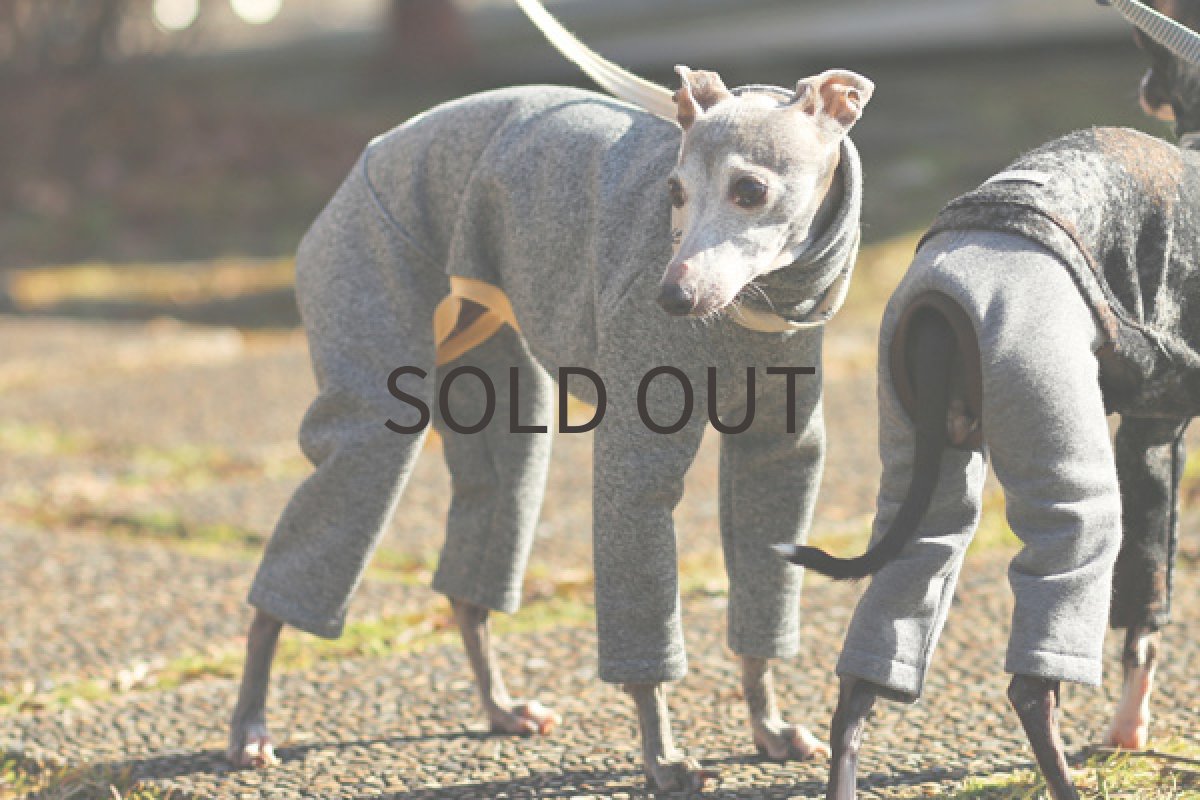 イタグレ服 裏起毛のごましおトレーナー 全身斜め前