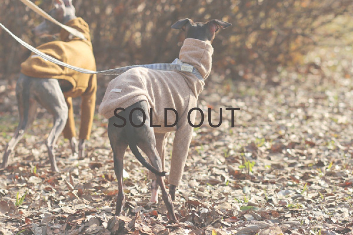 イタリアングレーハウンド服 アンゴラ混あぜニット(亜麻) 後方