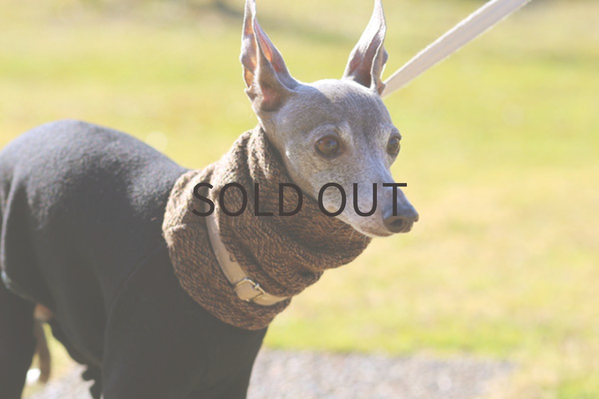 イタグレ服 ウールヘリンボーン アップ前