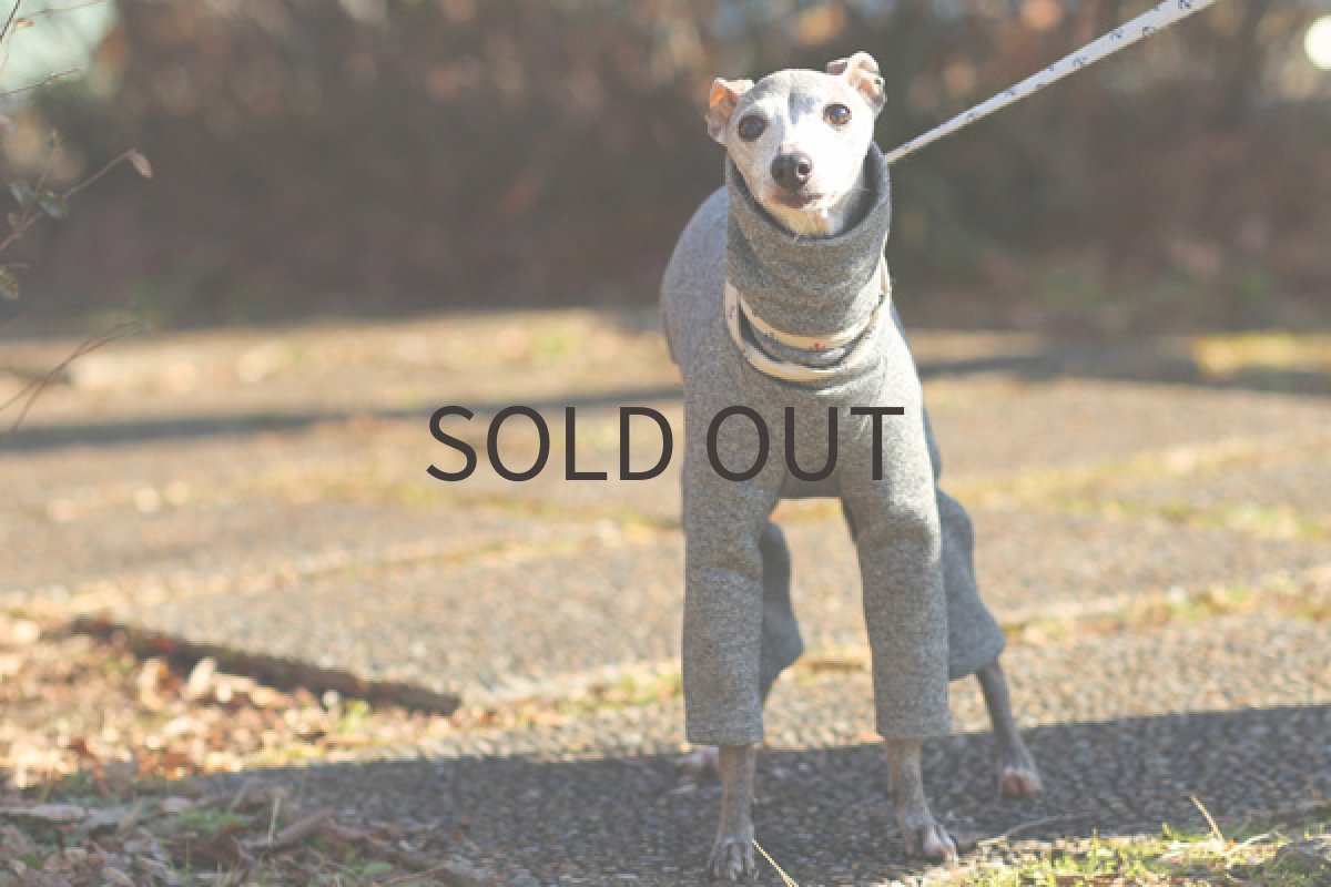 イタグレ服 裏起毛のごましおトレーナー 全身前