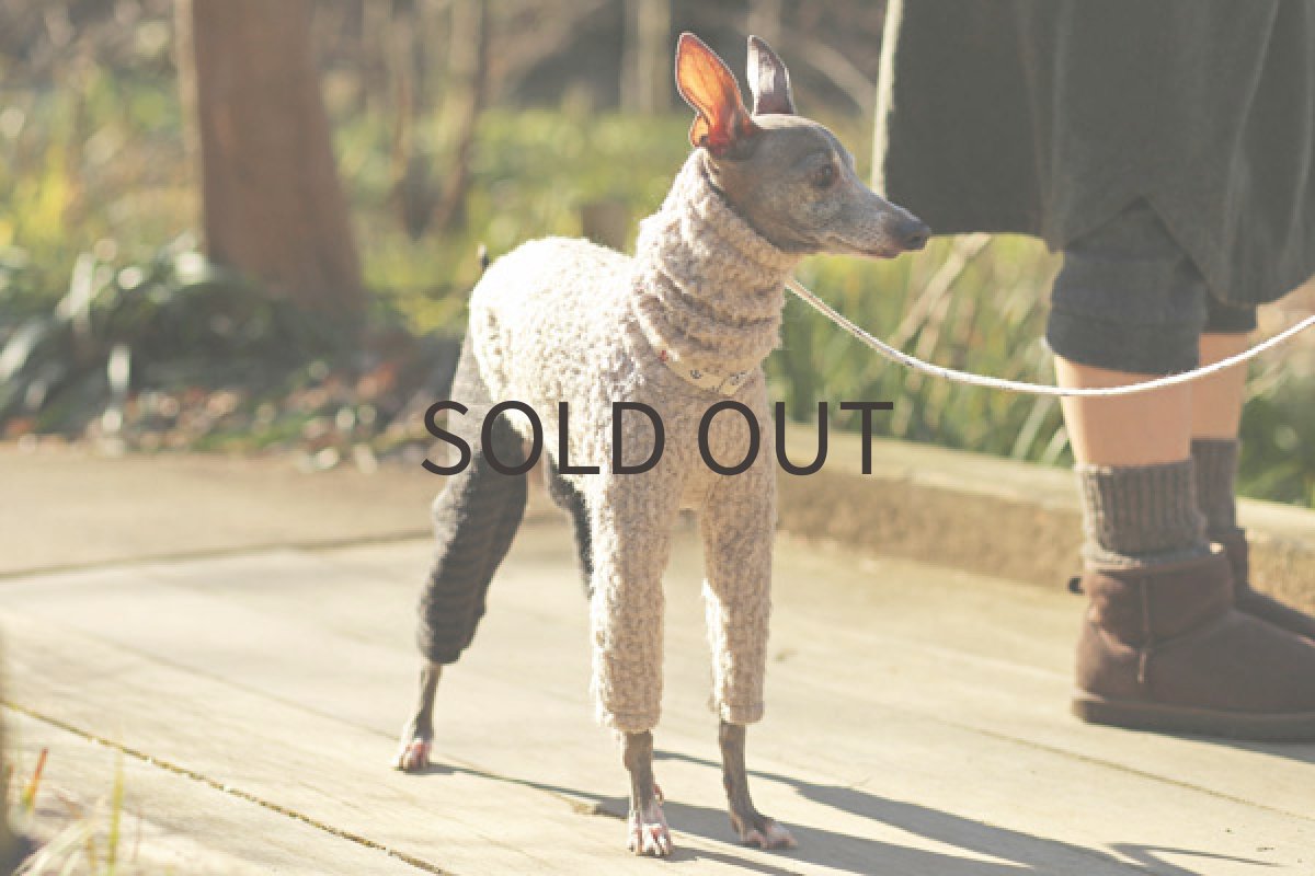 イタグレ服 ブークレーのループ&シャギー(チャコール)4