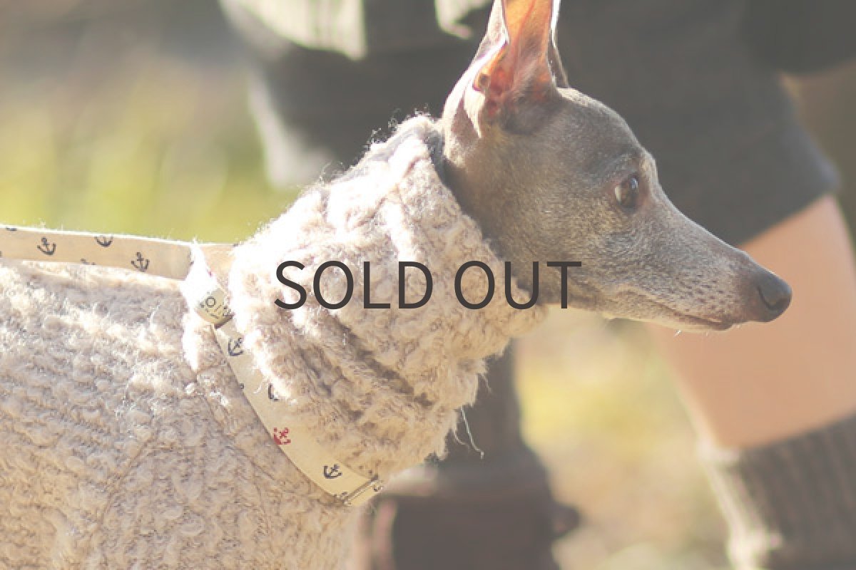 イタグレ服 ブークレーのループ&シャギー(チャコール)3