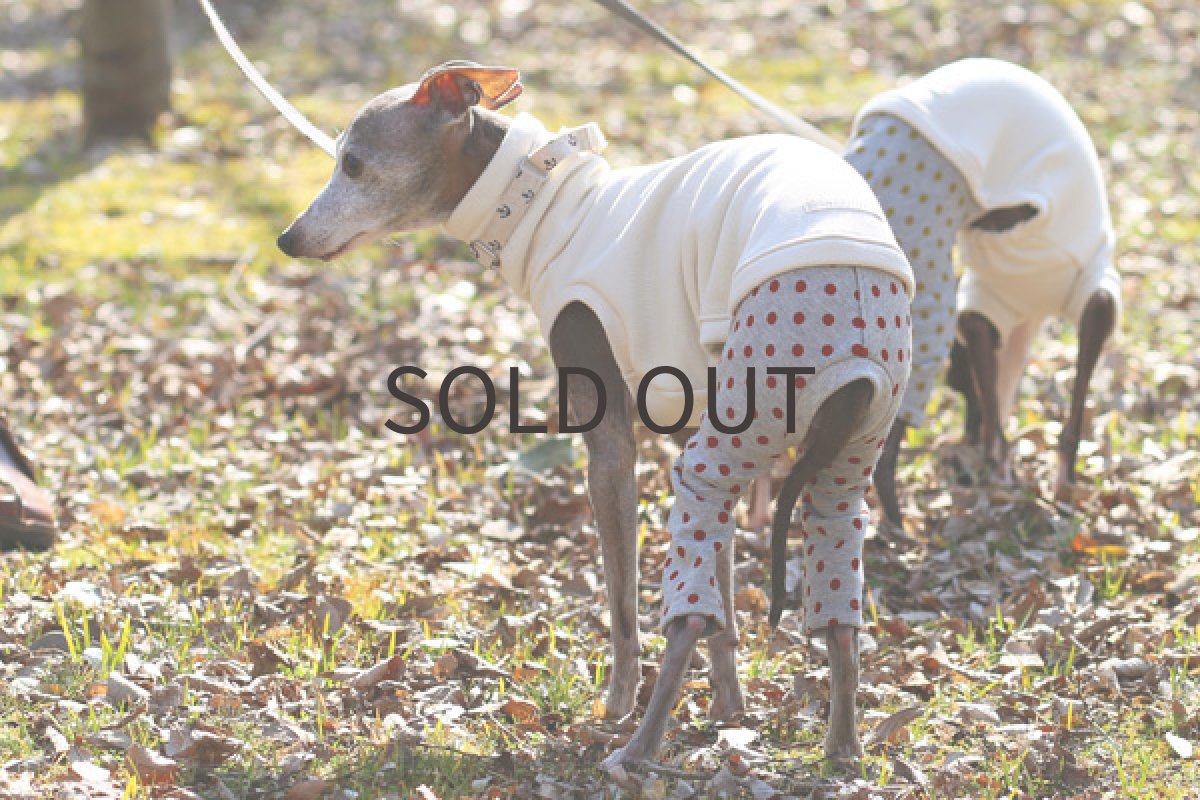 画像2: 裏毛の水玉パンツ（レッド） (2)