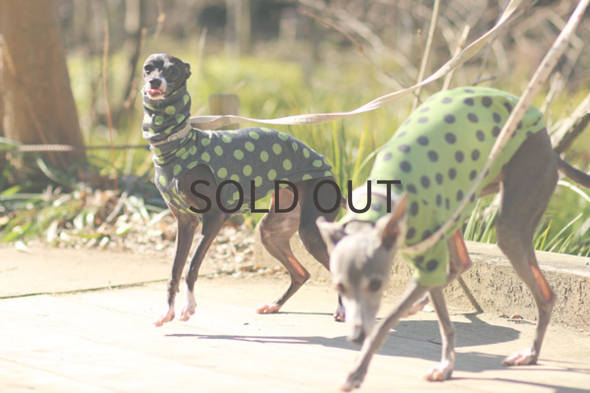 画像5: サテンドールLFリバーシブル（ライムグリーン） (5)