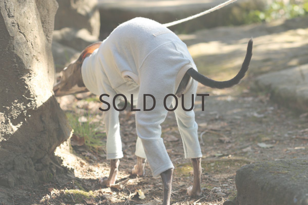 画像5: Pajamaロンパ(みずいろ) (5)