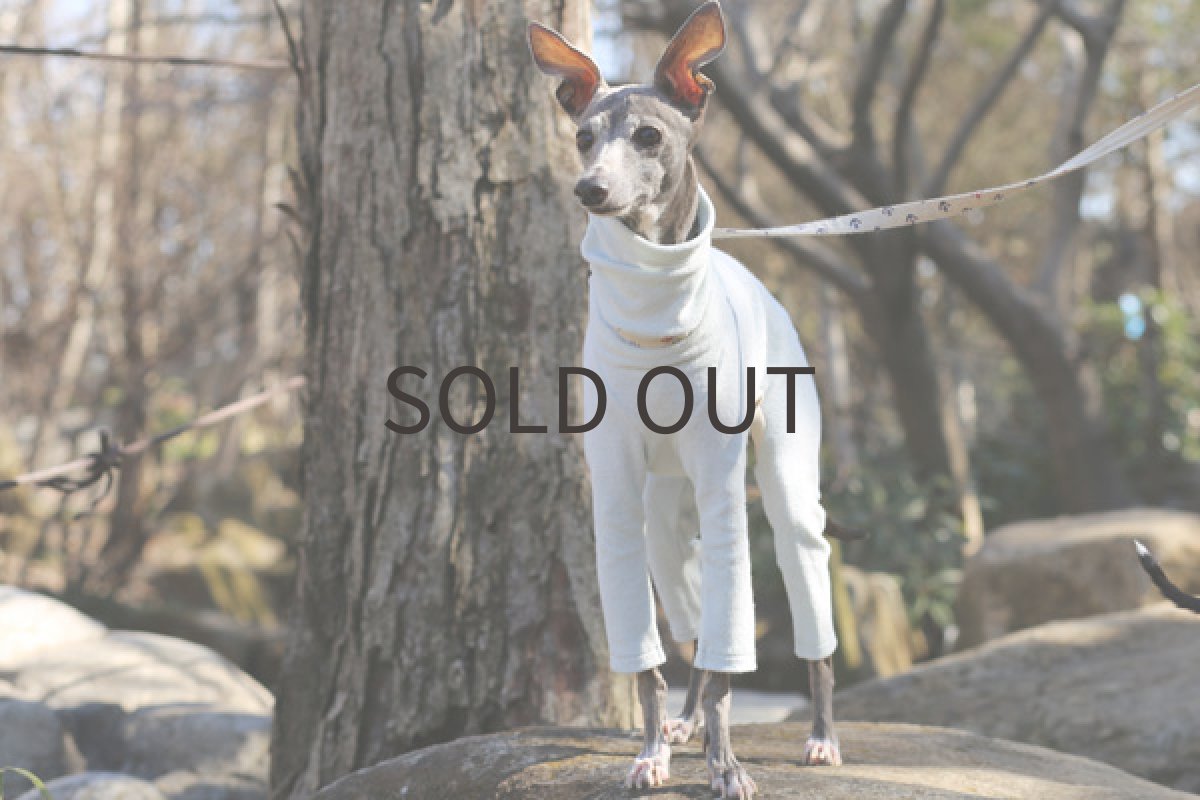 画像4: Pajamaロンパ(みずいろ) (4)