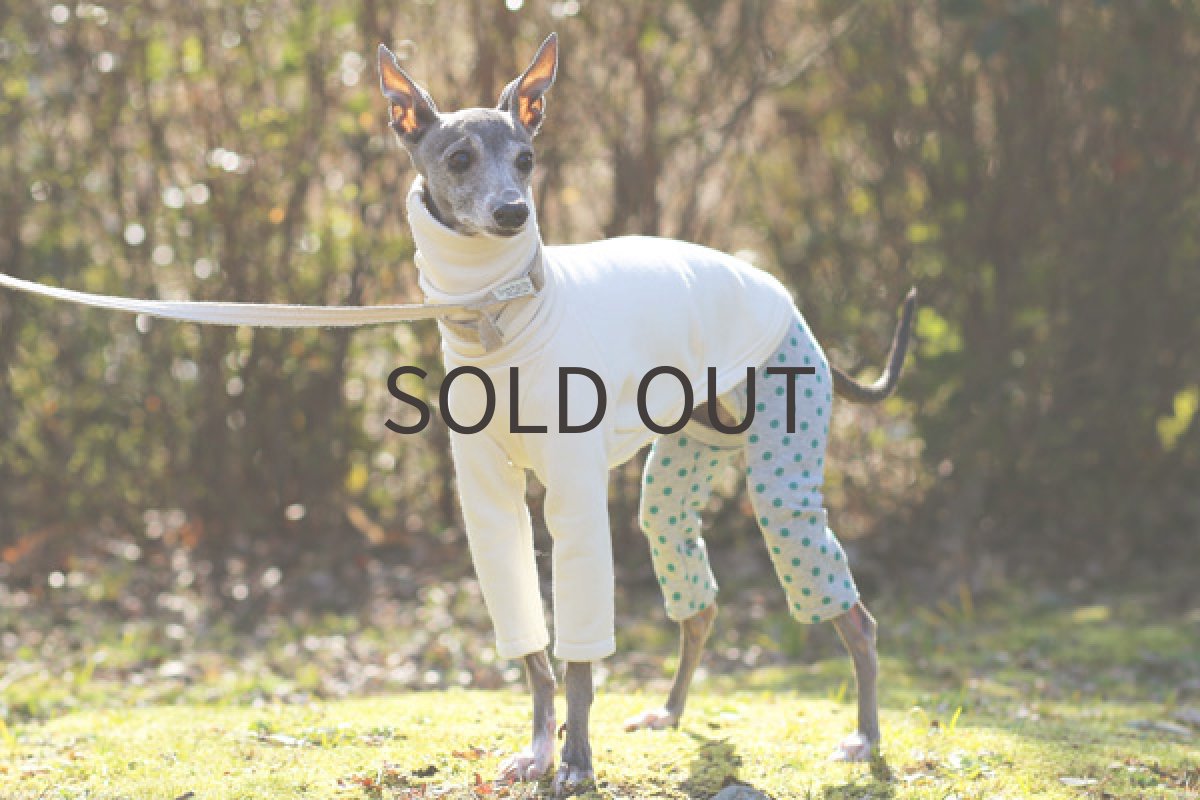 画像4: 裏毛の水玉パンツ（エメラルドグリーン） (4)