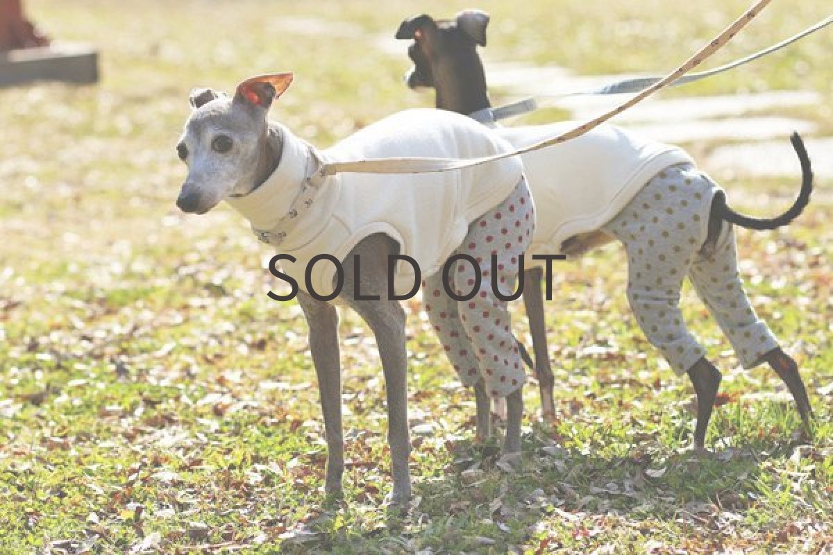 画像5: 裏毛の水玉パンツ（レッド） (5)