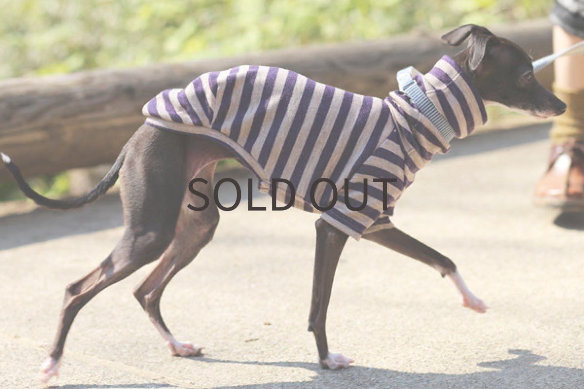 画像2: ポンチニット（ベージュ×パープル） (2)