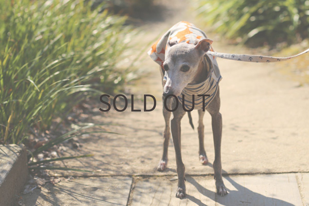 画像5: 花がら綿麻キャンバス(オレンジ) (5)