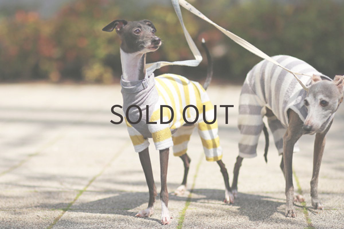 画像3: ひんやりバンブーレーヨン（イエロー） (3)