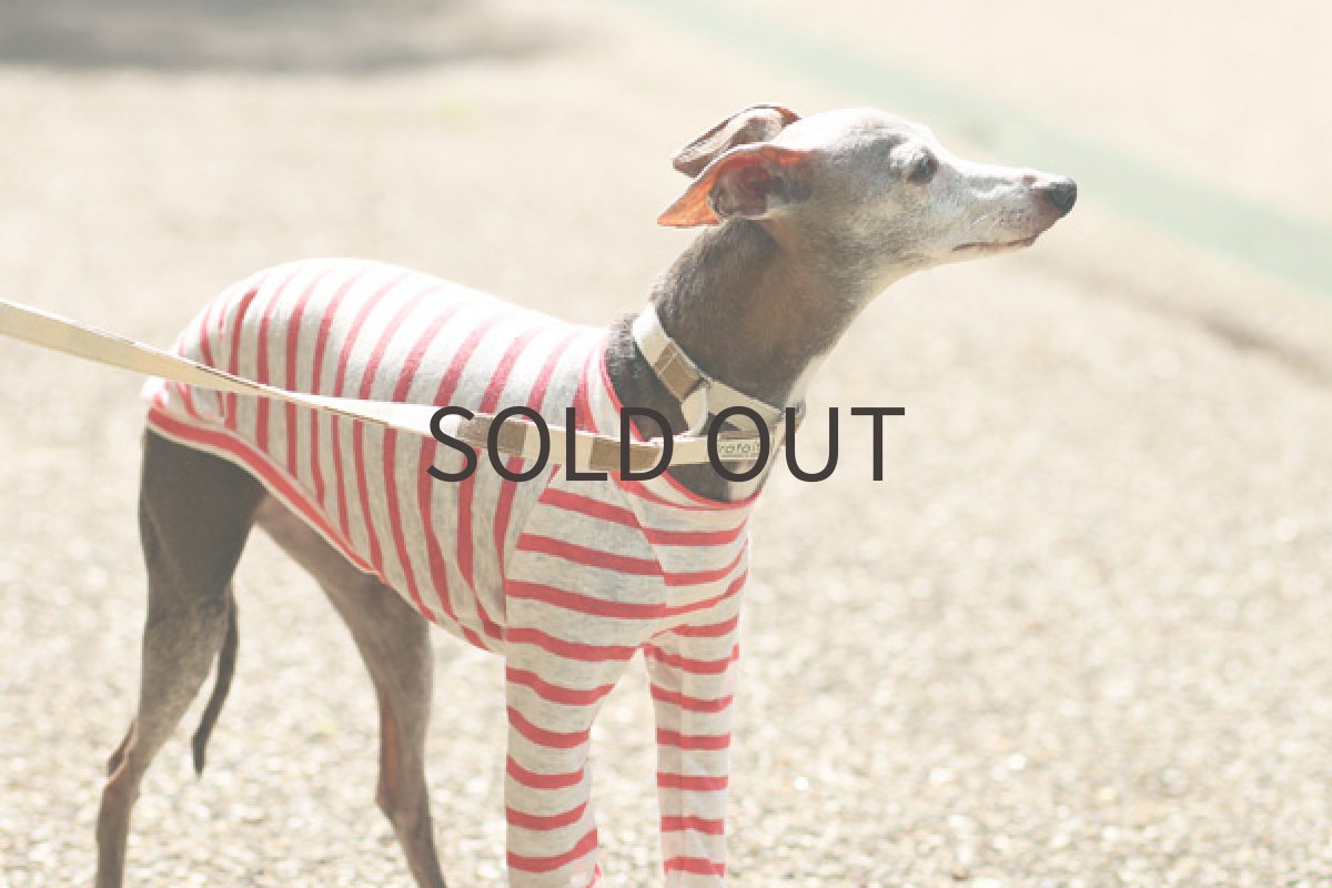 画像3: リネンボーダー（ウォームピンク） (3)