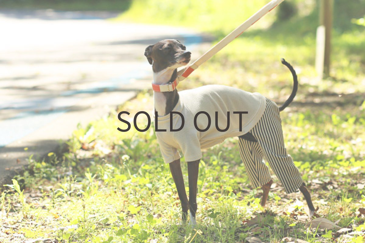 イタグレ服 ヒッコリーパンツのロンパ(ライトベージュ)