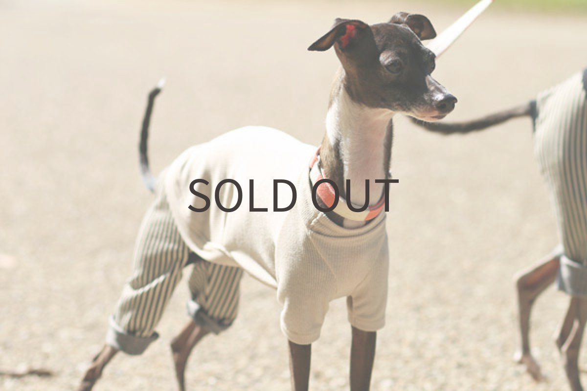 イタグレ服 ヒッコリーパンツのロンパ(ライトベージュ)