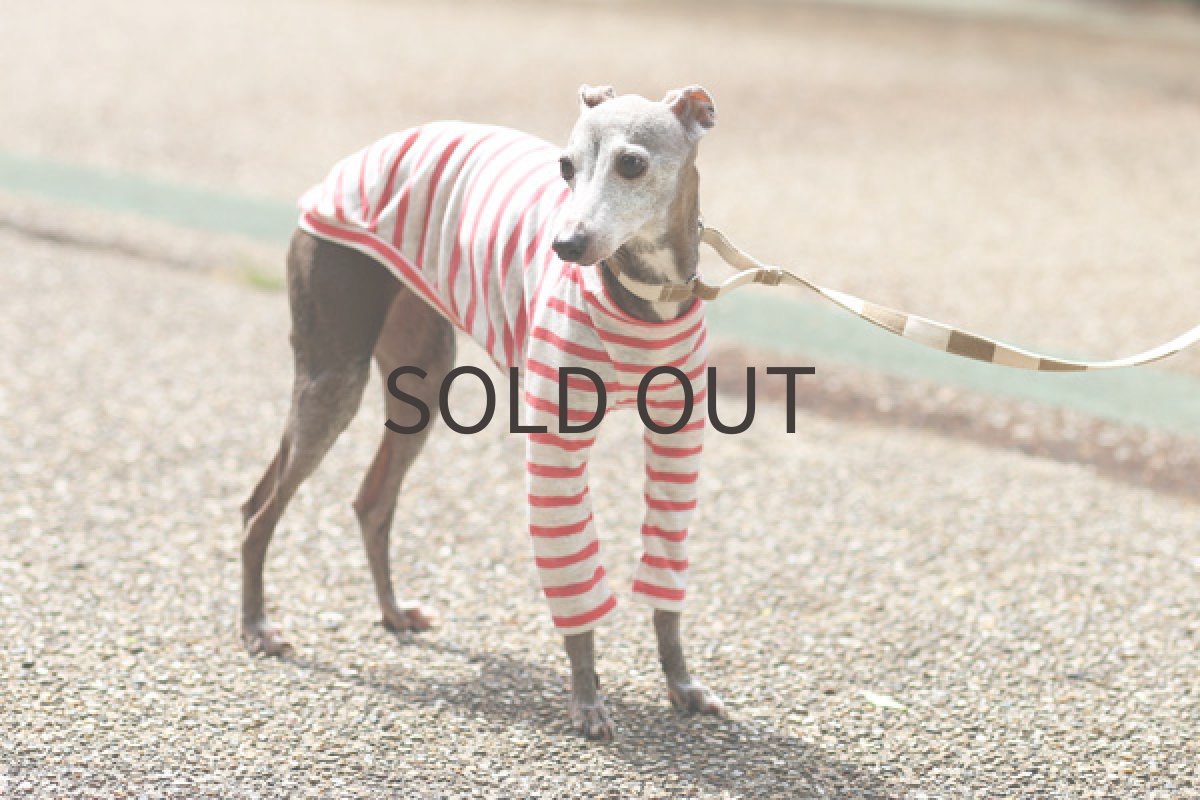 画像5: リネンボーダー（ウォームピンク） (5)