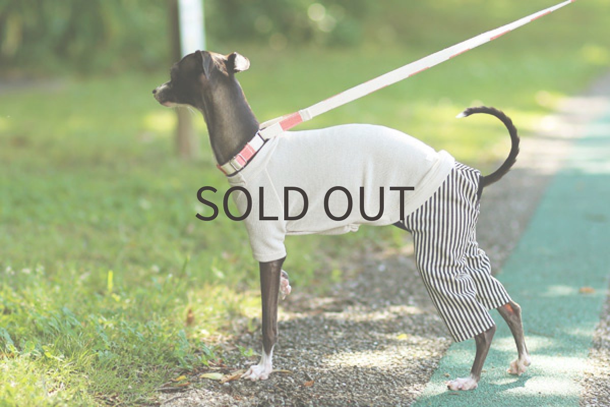 イタグレ服 ヒッコリーパンツのロンパ(ライトベージュ)