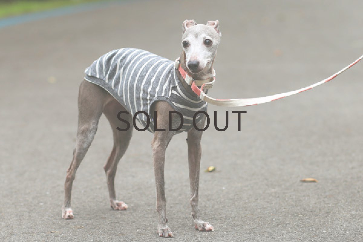 画像4: スプラッシュボーダー（セメント） (4)