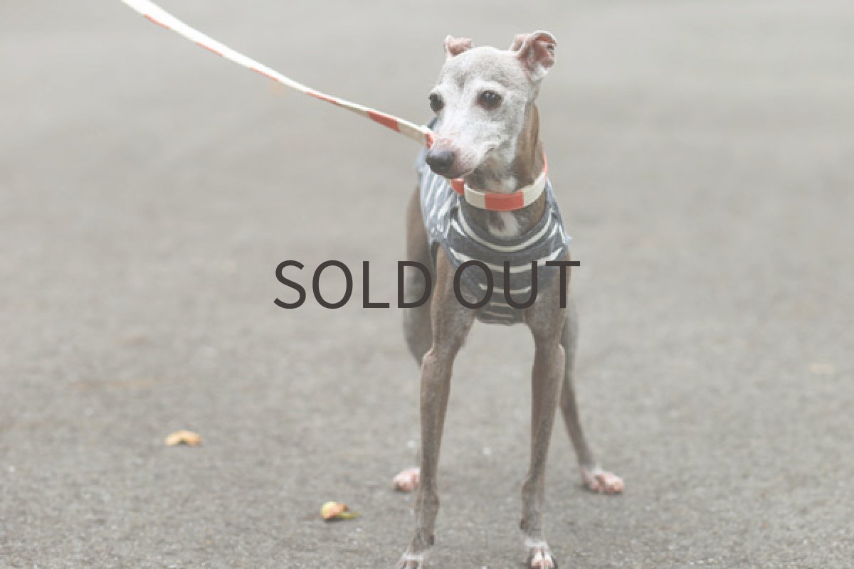 画像3: スプラッシュボーダー（セメント） (3)