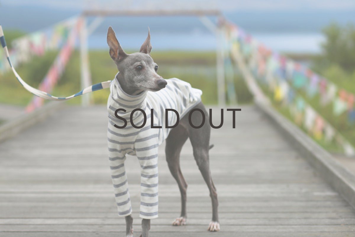 画像2: 天竺コットンボーダー（ライトグレー） (2)