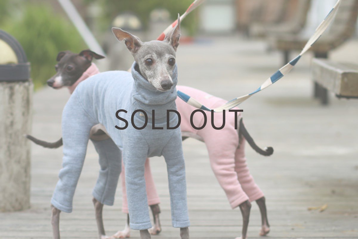 画像5: ソフトスウェット（ブルー） (5)