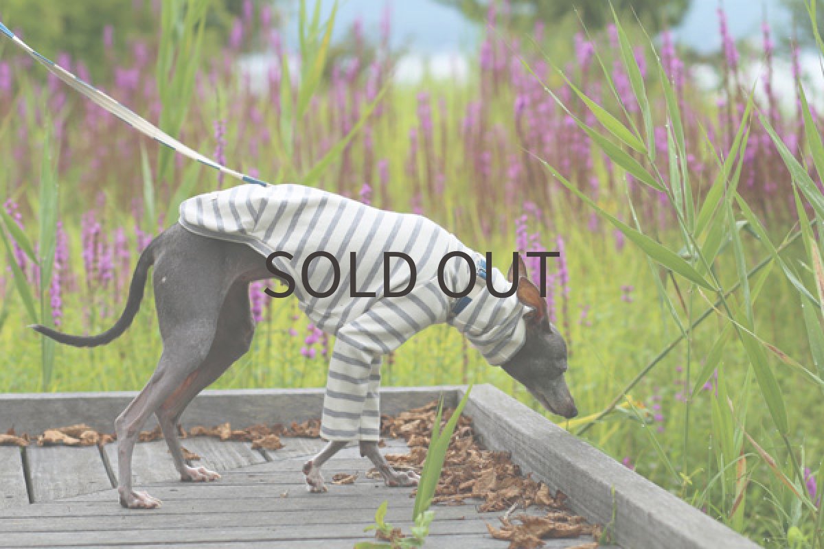 画像3: 天竺コットンボーダー（ライトグレー） (3)