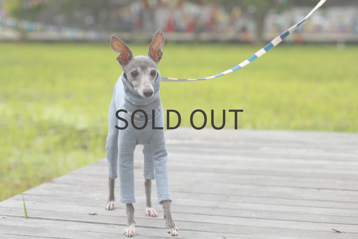 画像2: ソフトスウェット（ブルー） (2)