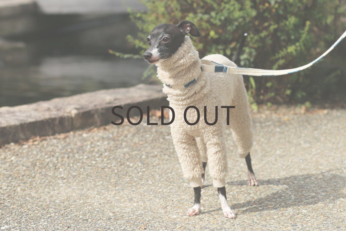 画像5: フワボア（ミルクティー） (5)