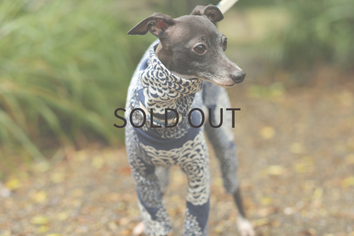 画像3: Dahlia 接結ニットロンパ(ダルブルー) (3)