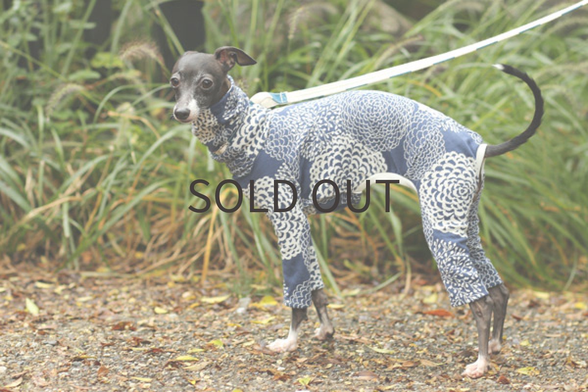 画像4: Dahlia 接結ニットロンパ(ダルブルー) (4)