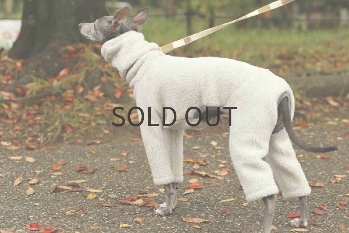 画像5: POLARTEC ボアフリース（アイボリー） (5)