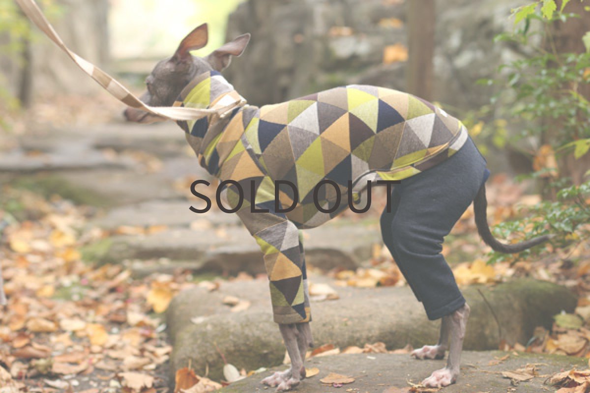 画像3: SANKAKUロンパ（青りんご） (3)