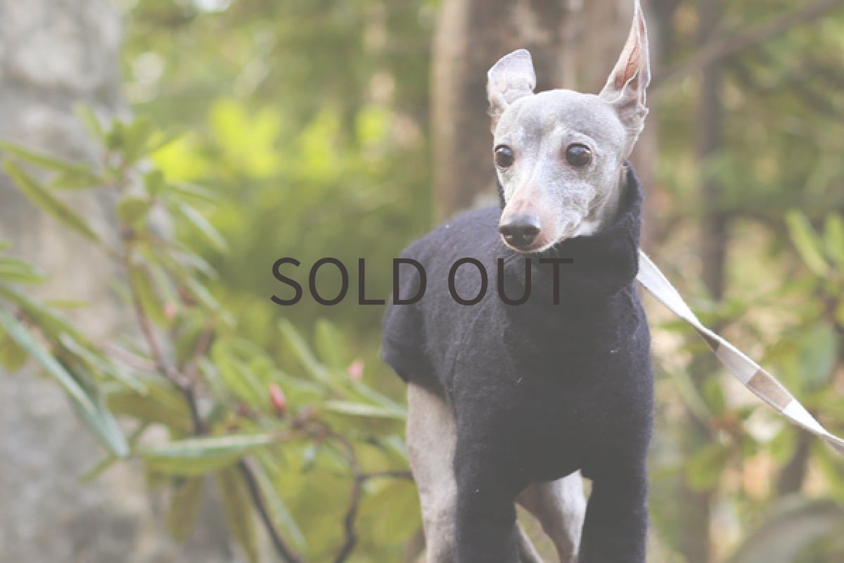 画像5: モヘア混ニット (5)