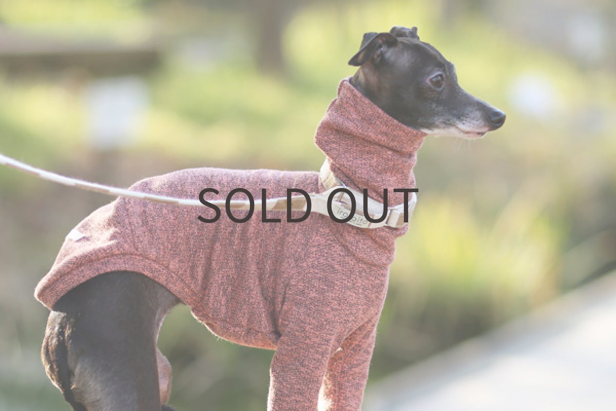 画像3: MIX裏毛(オレンジピンク) (3)