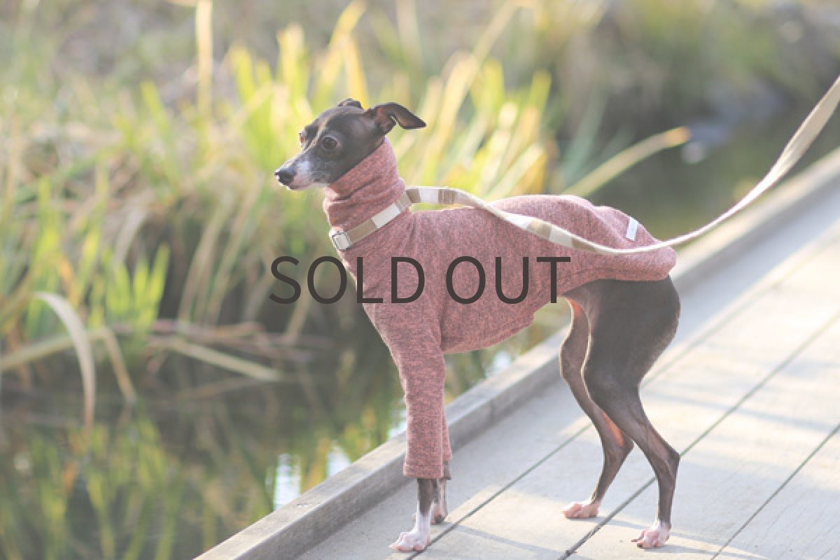 画像2: MIX裏毛(オレンジピンク) (2)