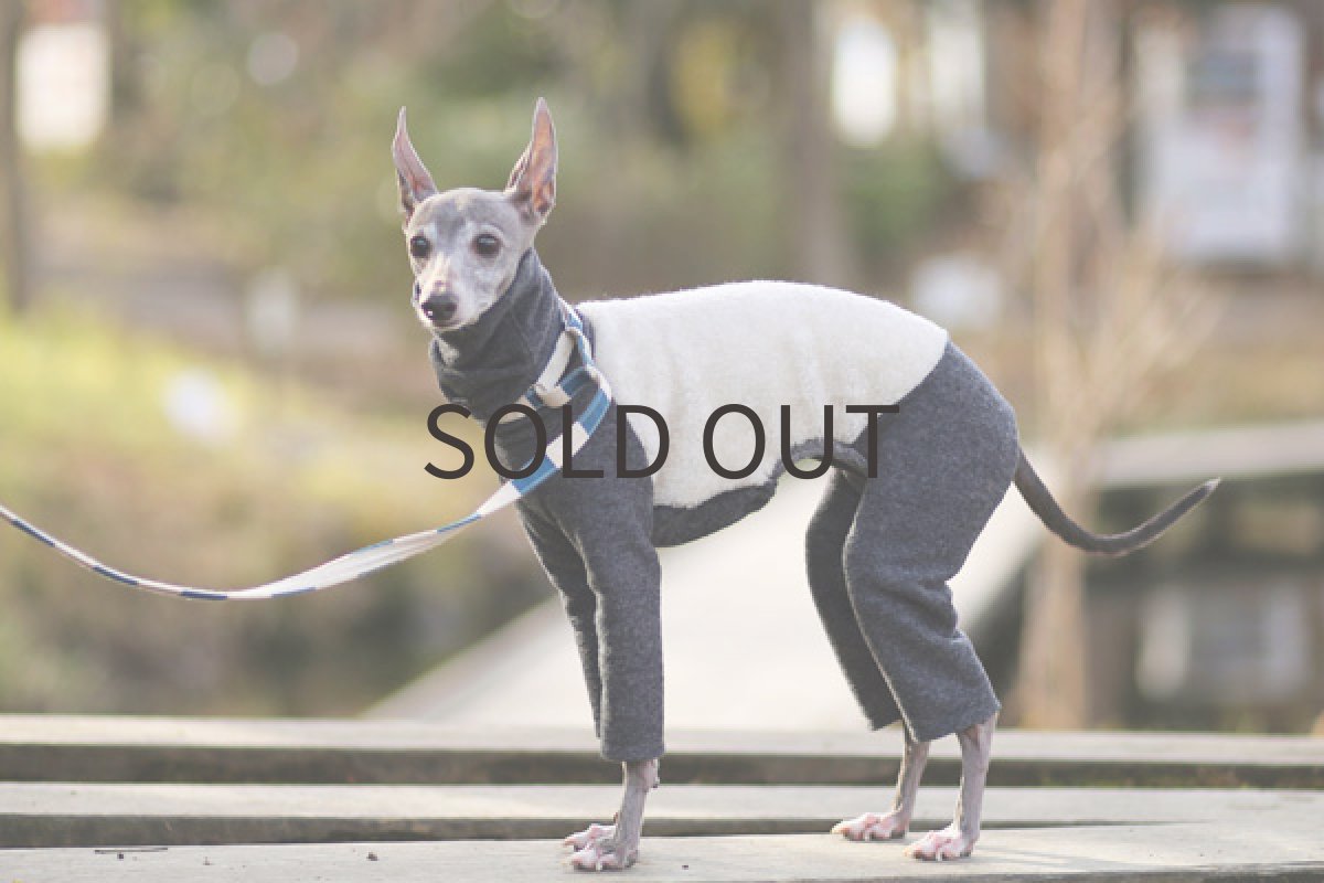 画像2: huwahuwa（ミルク） (2)