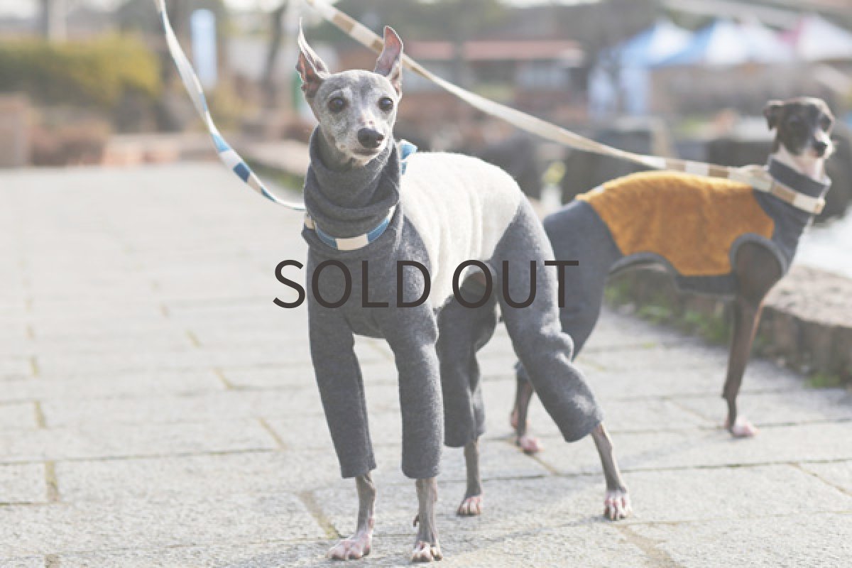 画像3: huwahuwa（ミルク） (3)