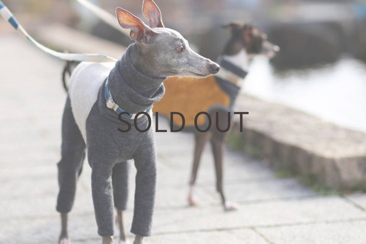 画像5: huwahuwa（ミルク） (5)