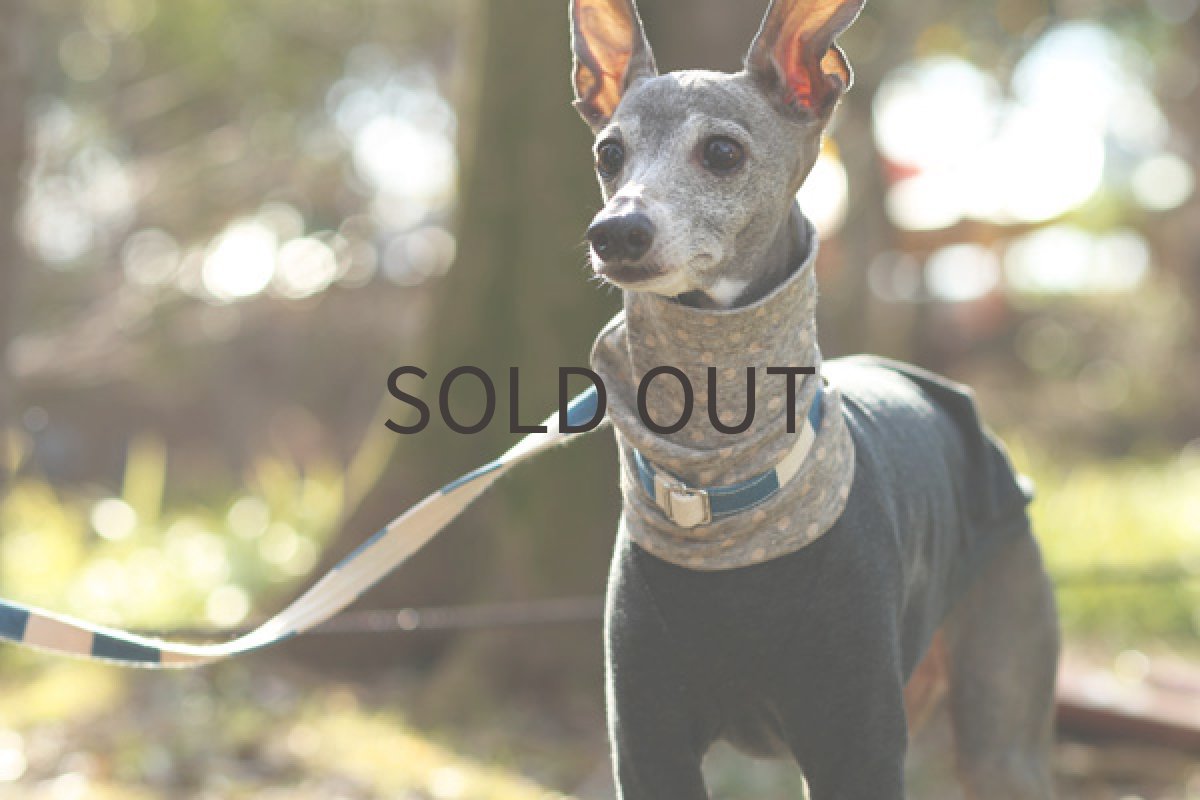 画像5: 水玉の切り替えシャツ（チャコール） (5)