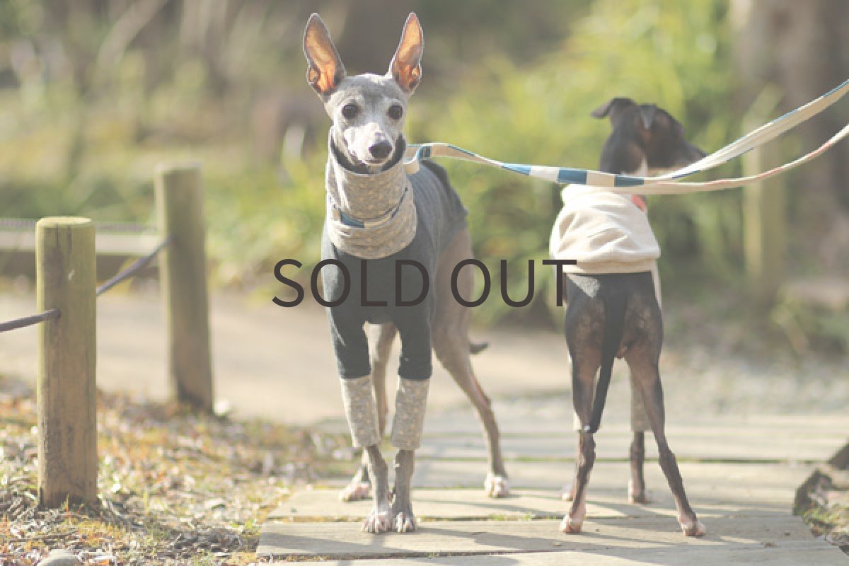 画像3: 水玉の切り替えシャツ（チャコール） (3)