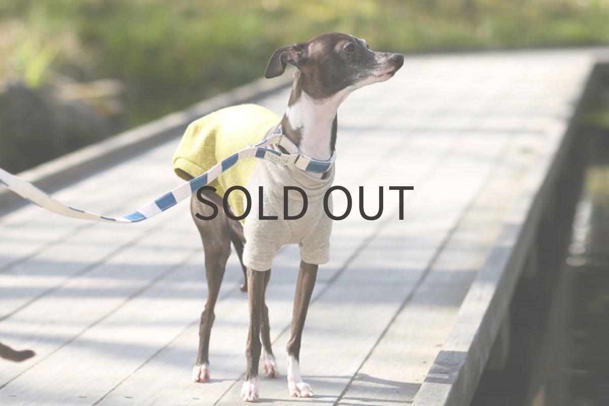 画像4: リネンキャンバス（うぐいす） (4)