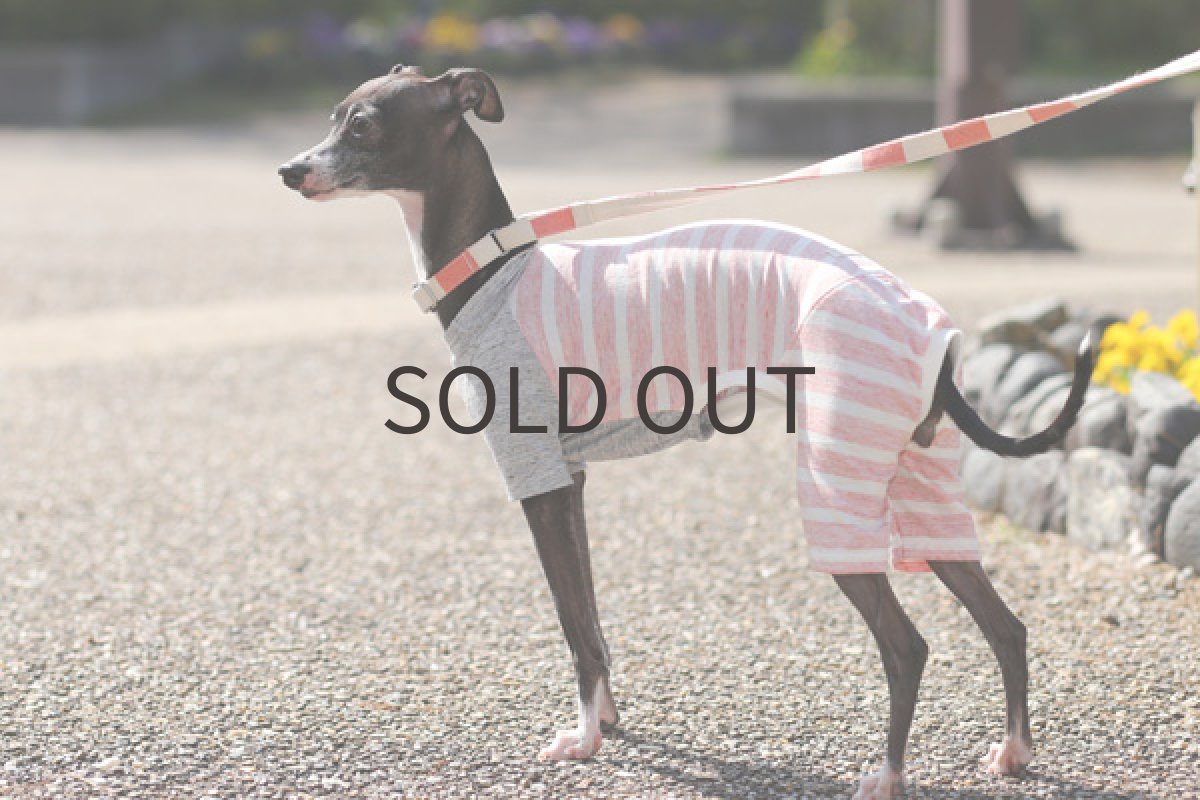 画像5: エアリフルニット(ピンクボーダー) (5)