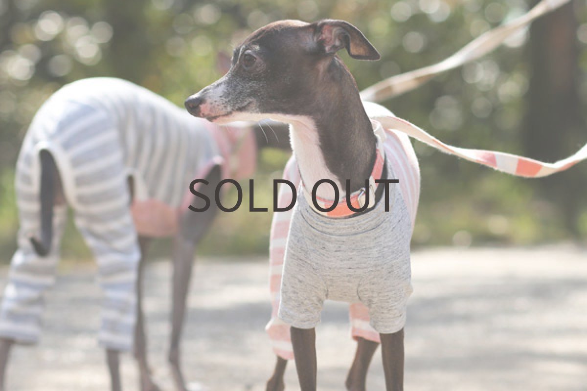 画像3: エアリフルニット(ピンクボーダー) (3)