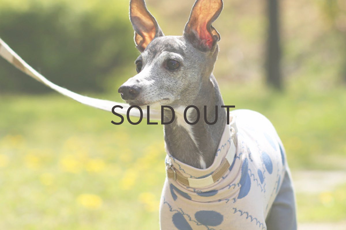 画像3: らせんドットの接結 (3)