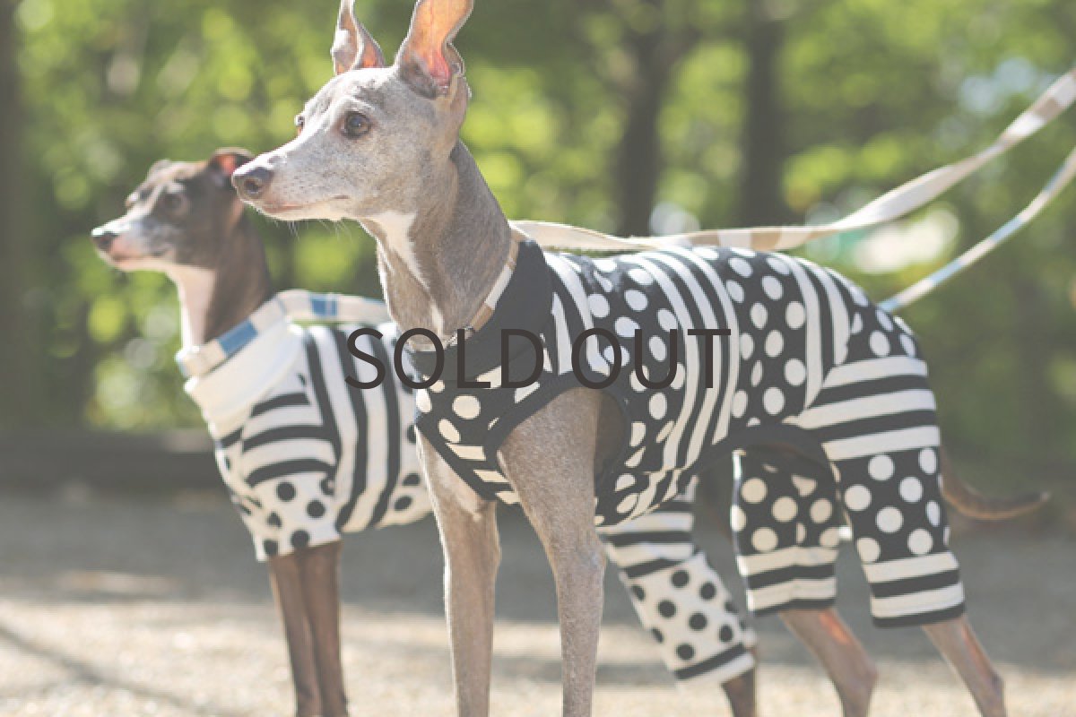 画像3: ドット＆ボーダー（黒ベース） (3)